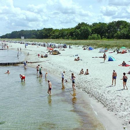 Ferienwohnung Villa Sonja In Zingst Eksteriør bilde